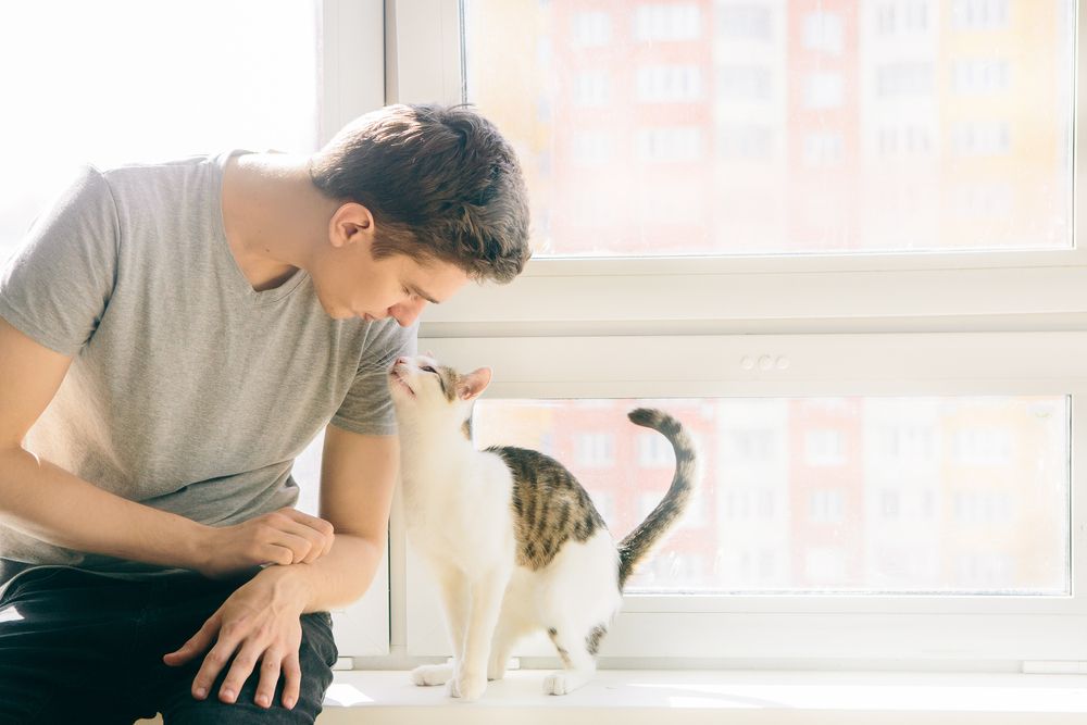 il giovane è seduto con un gatto