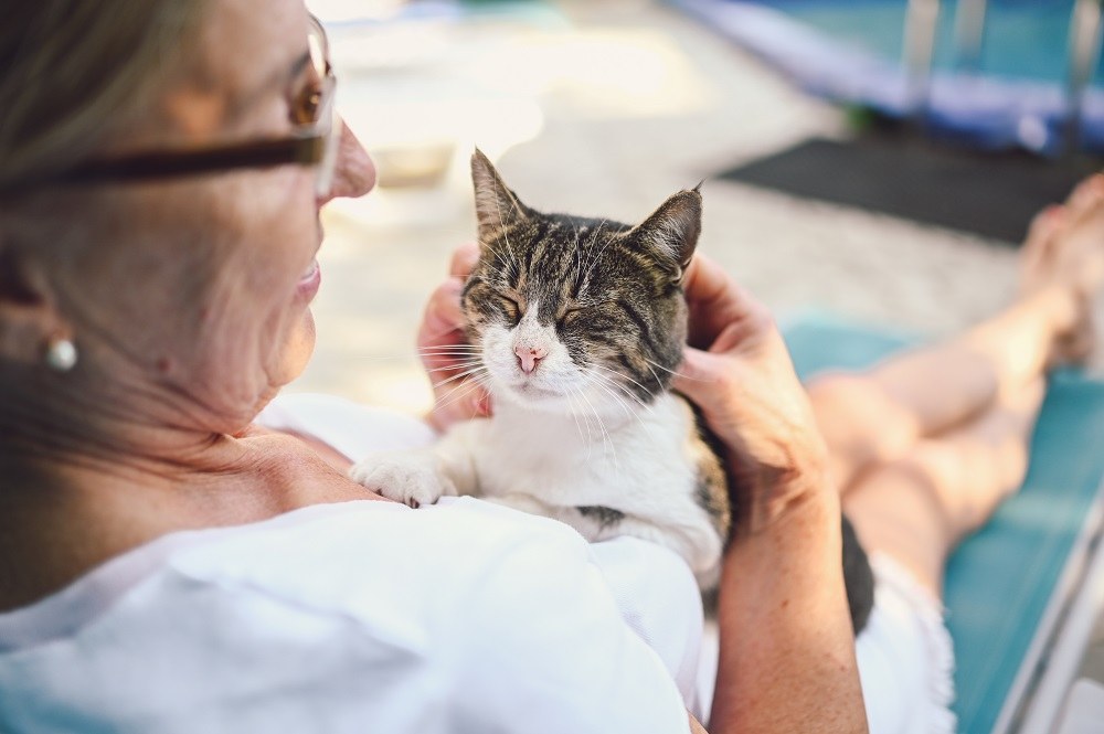 Donna anziana felice che abbraccia un gatto soriano domestico