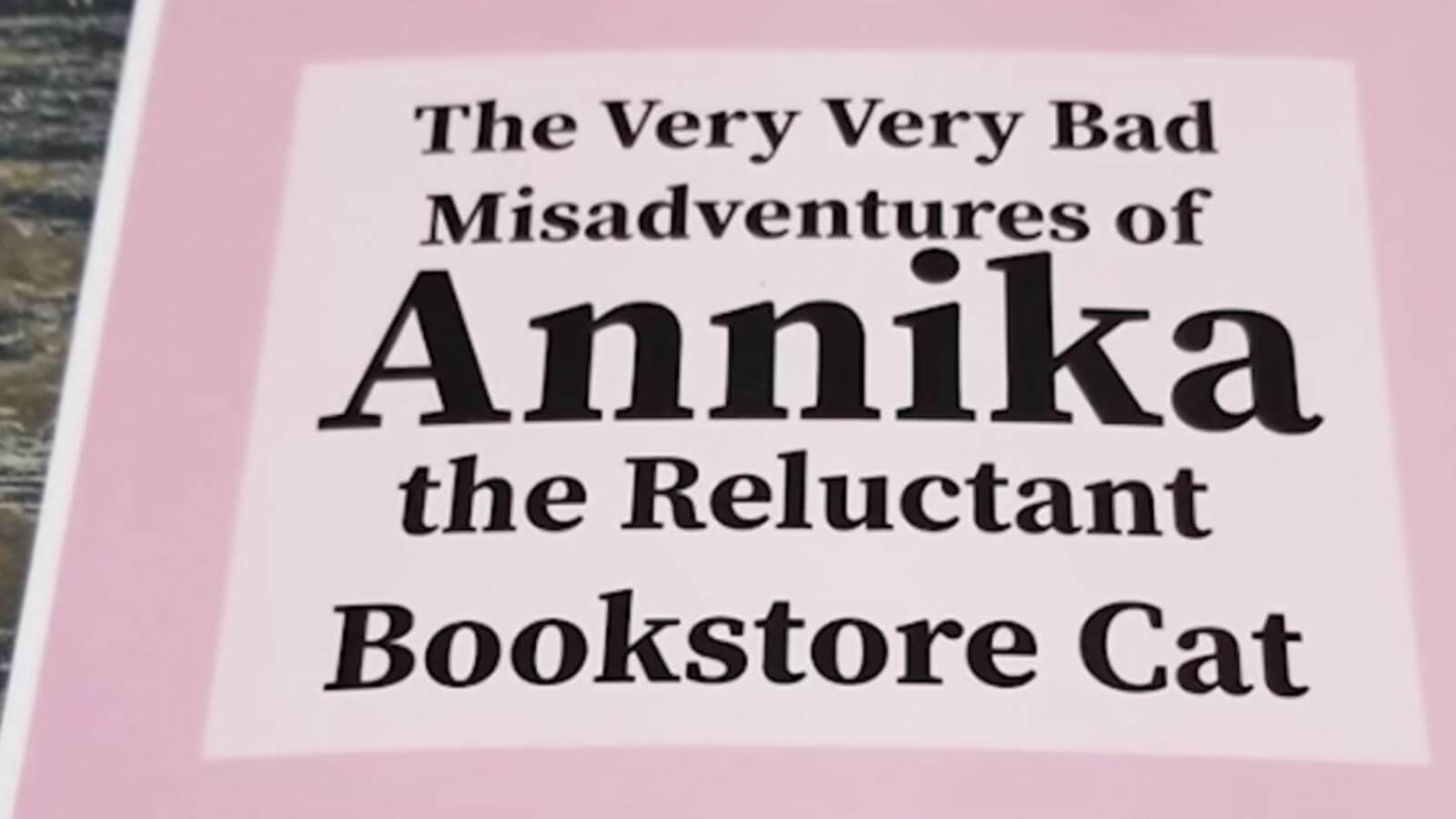 Facciamo diventare il libro di Annika un bestseller. Cupboard Maker Books