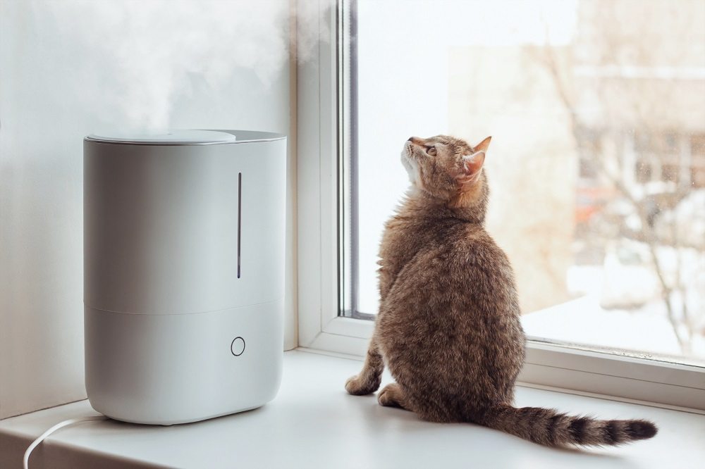 Un giovane gatto soriano è seduto sul davanzale della finestra e osserva il vapore che esce dall'umidificatore bianco.