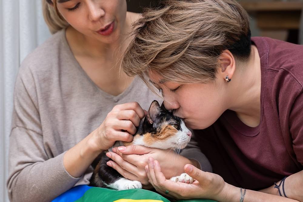 coppia che coccola il gatto