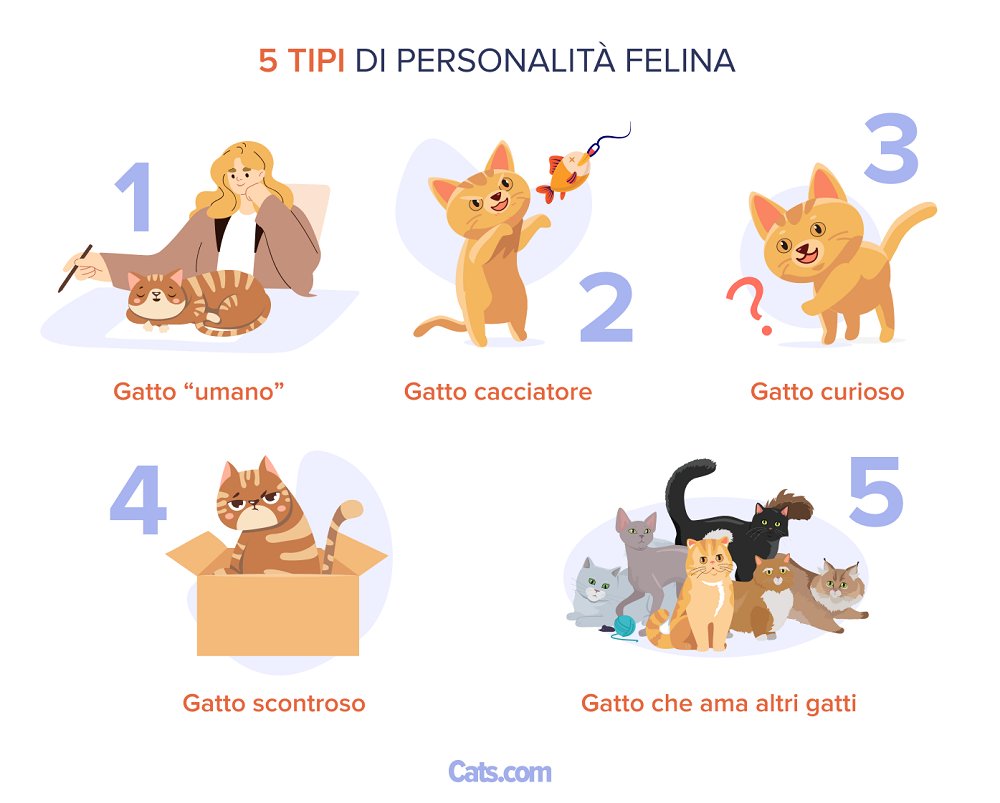 5 Spettro della personalità felina