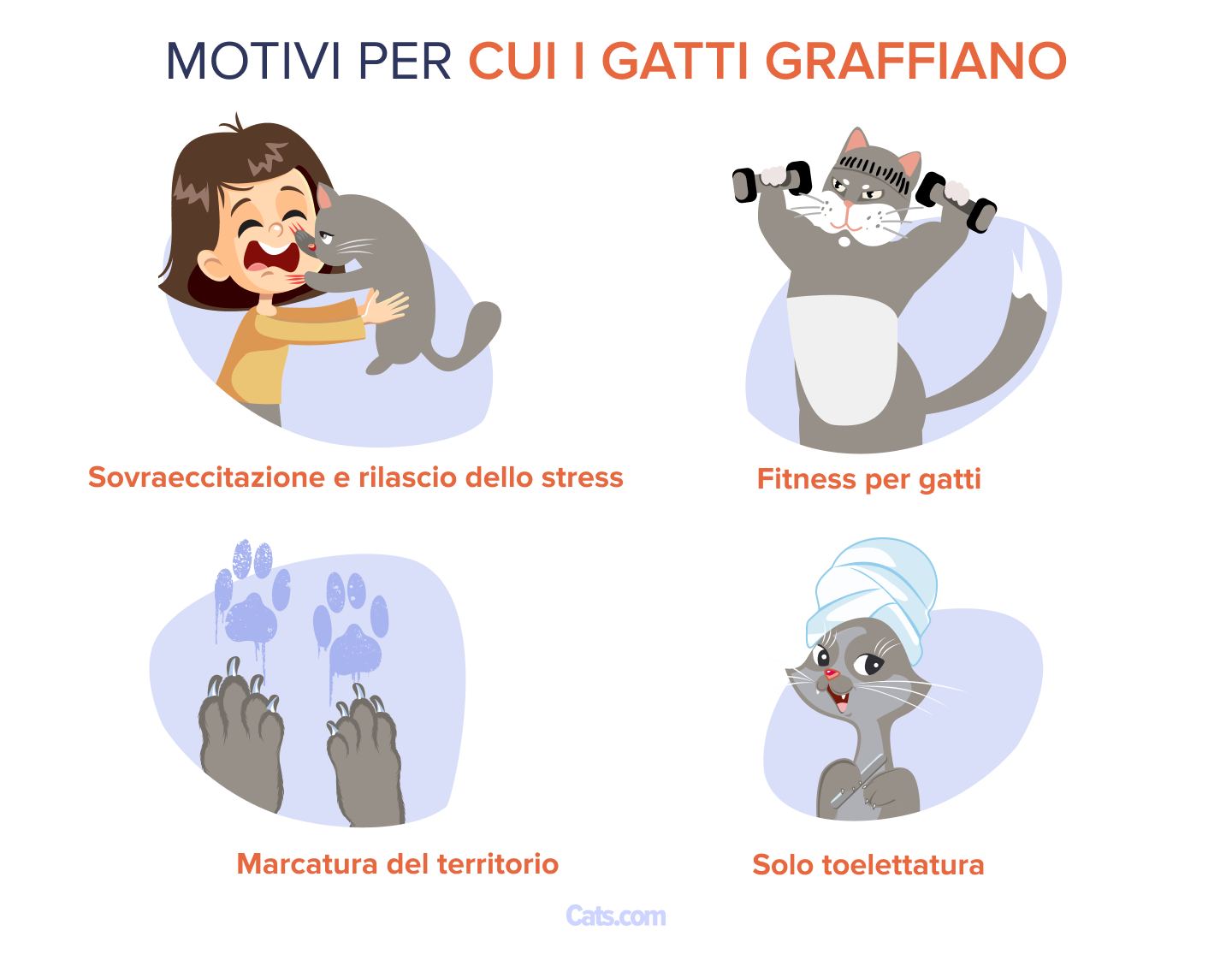 Perché i gatti graffiano