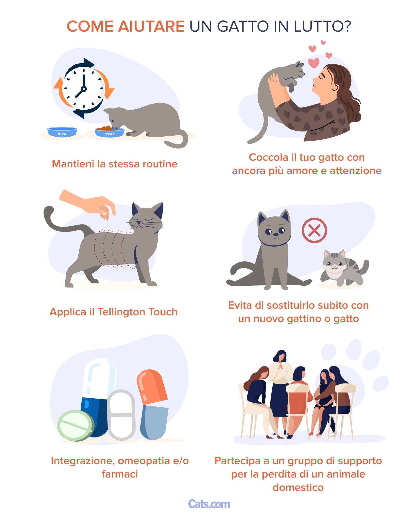 Come aiutare un gatto in lutto
