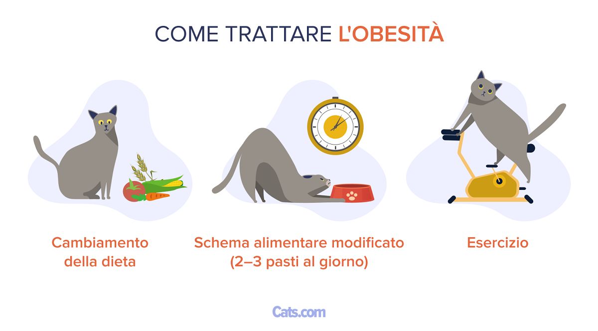 Come trattare l'obesità