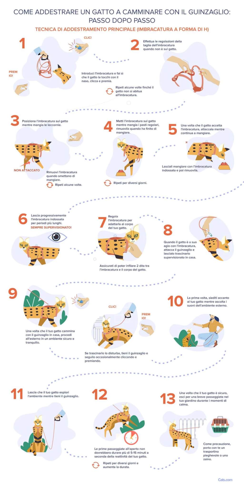 Tecnica di addestramento primaria