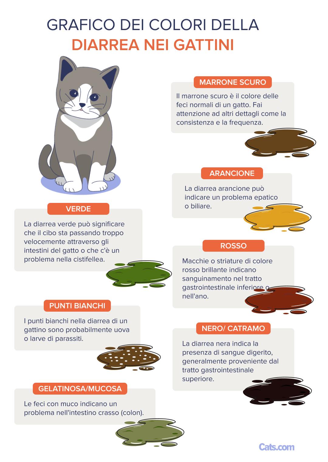 Tabella dei colori della diarrea del gattino