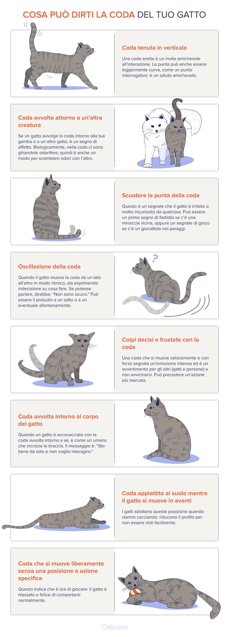 Linguaggio della coda di gatto