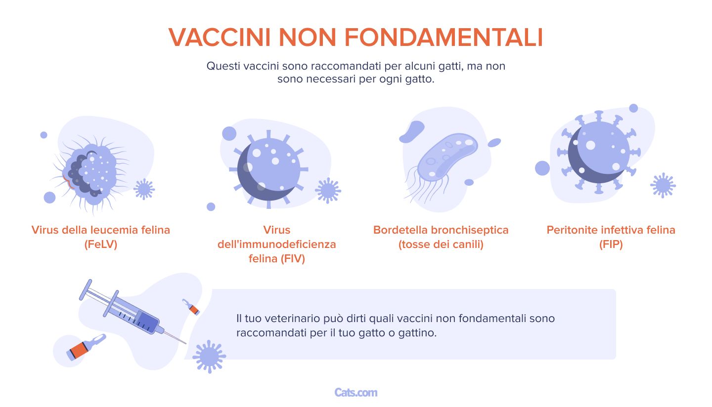 vaccini non essenziali