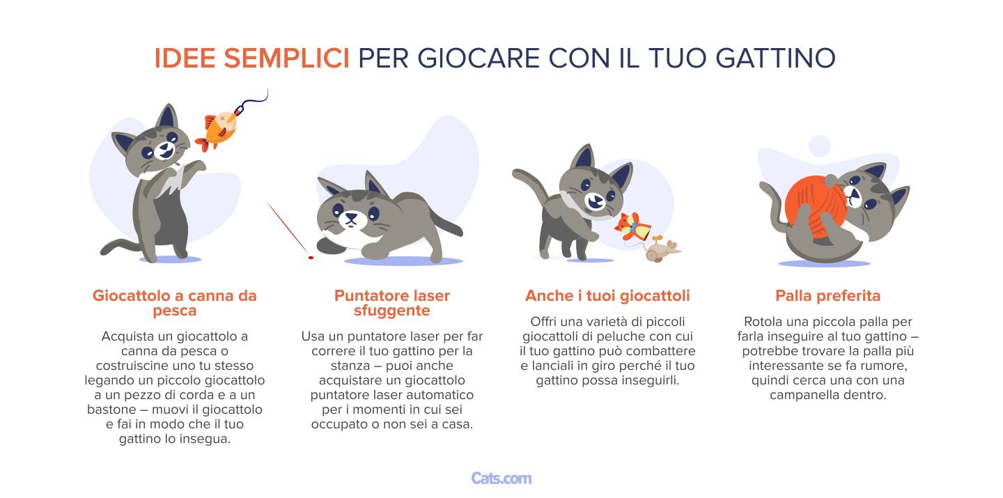 Immagine che fornisce idee semplici per giocare con un gattino.