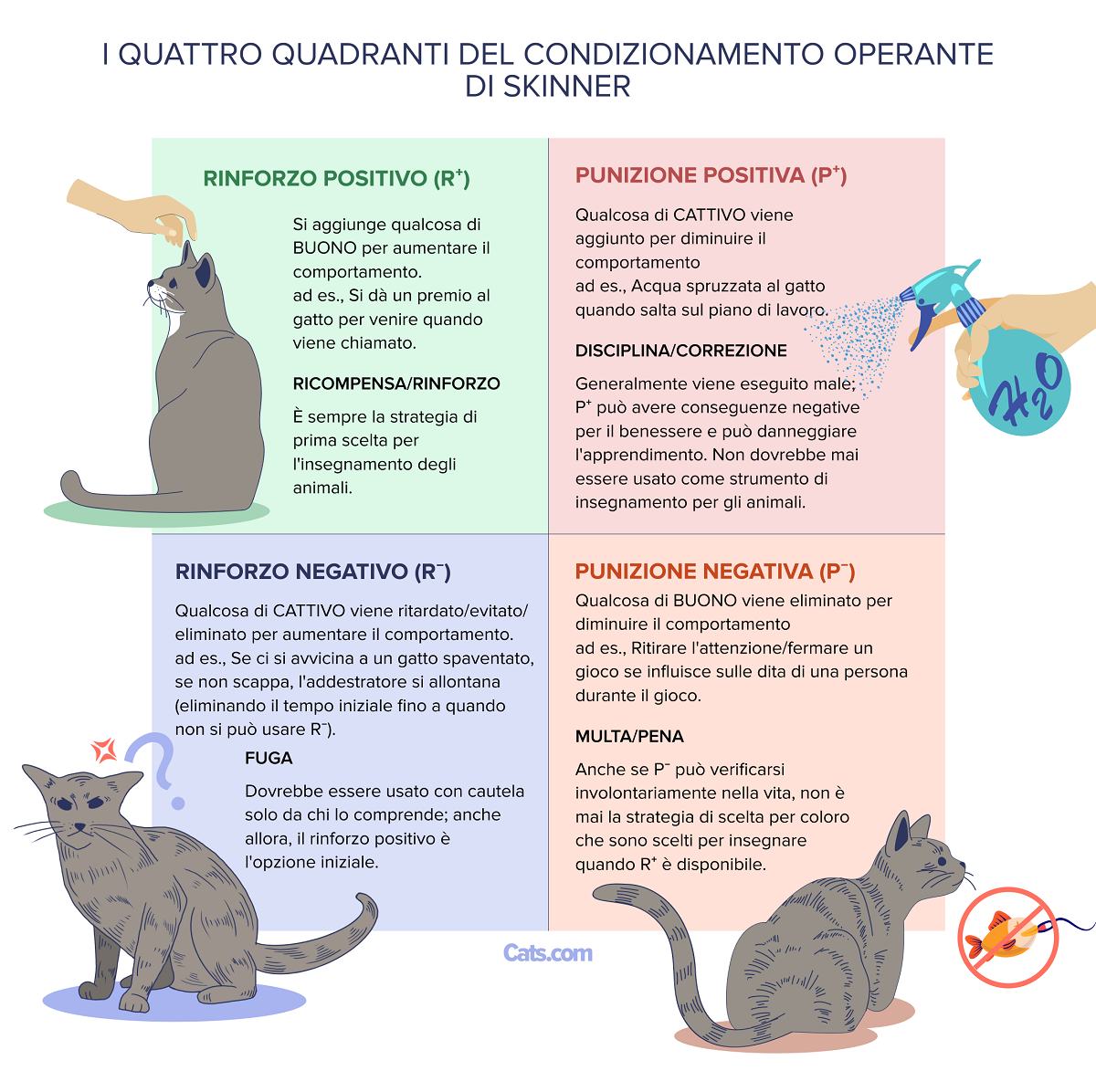 Esempio dei quattro quadranti del condizionamento operante di Skinner