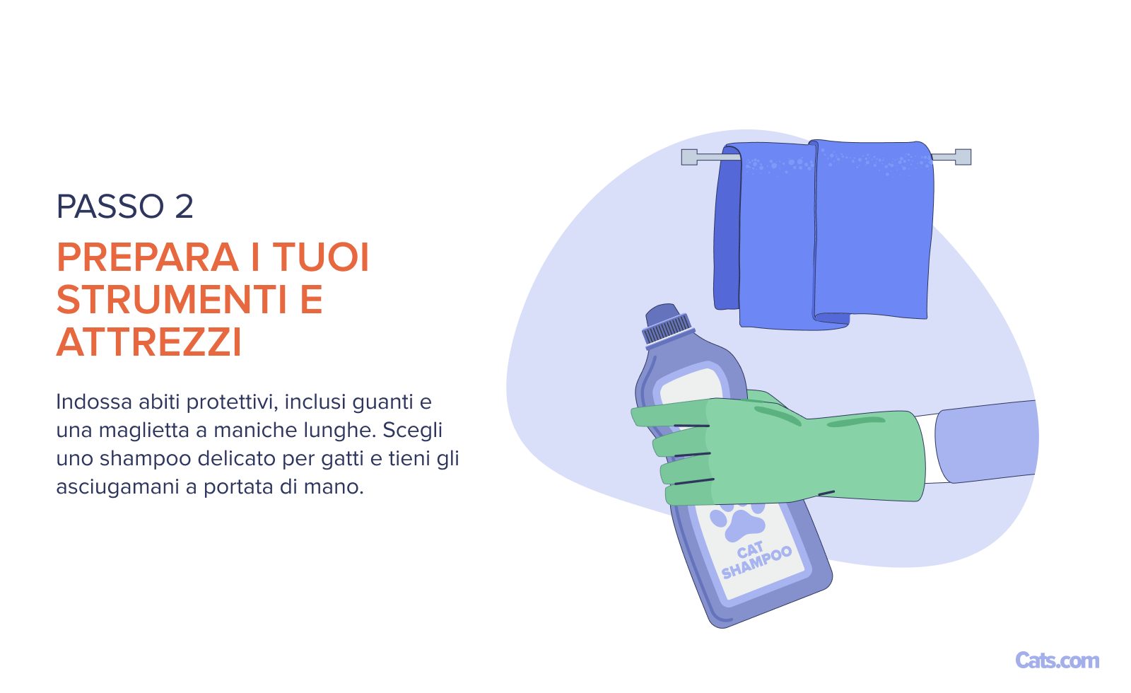 Fase 2: Impostazione di strumenti e prodotti