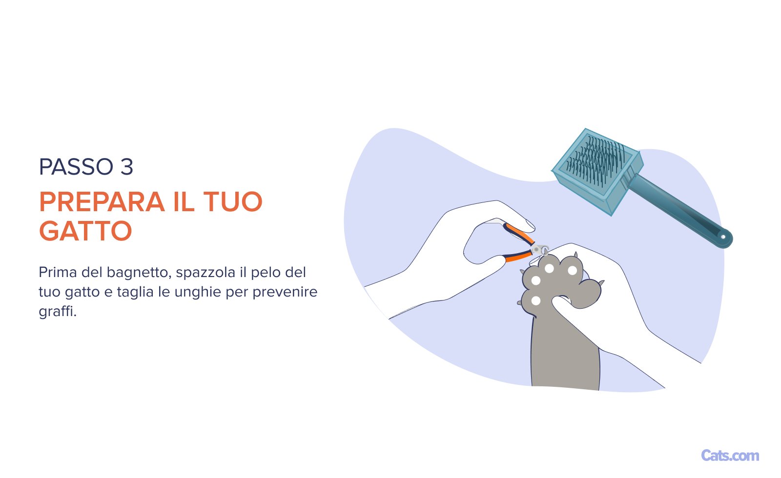 Fase 3: Preparazione prima del bagno