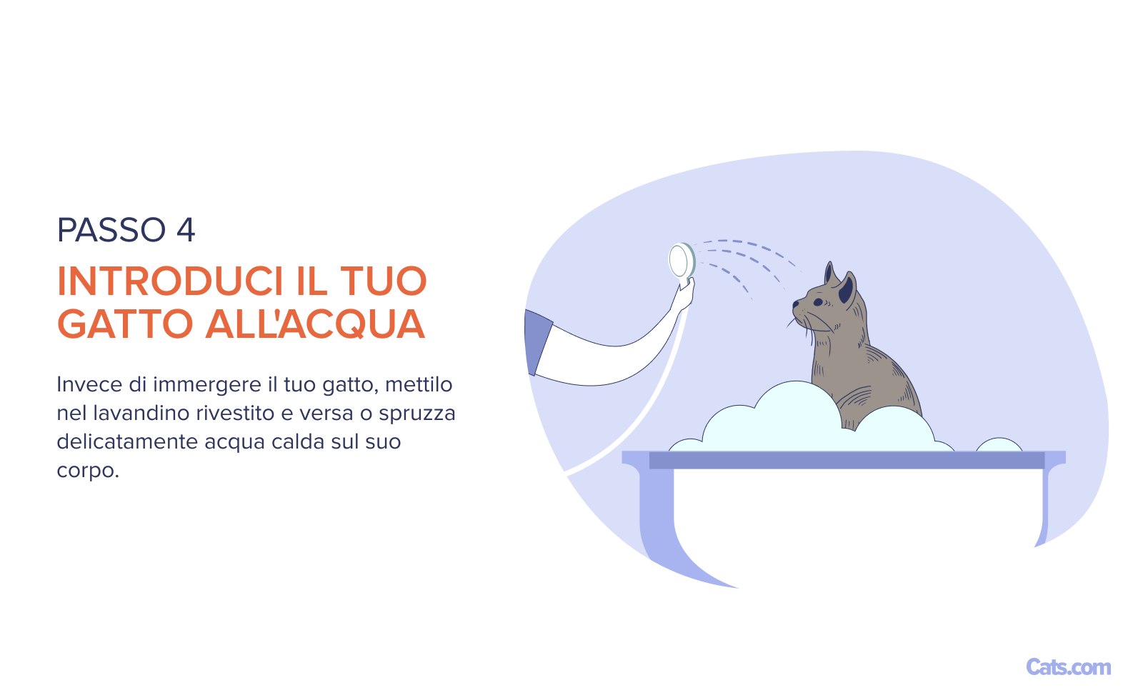 Fase 4: Introduzione all'acqua