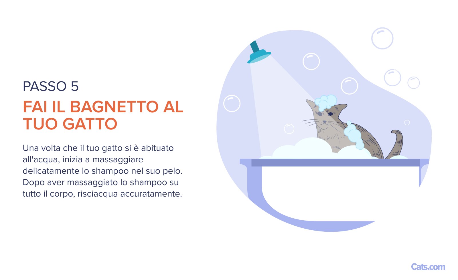 Fase 5: fare il bagno al gatto