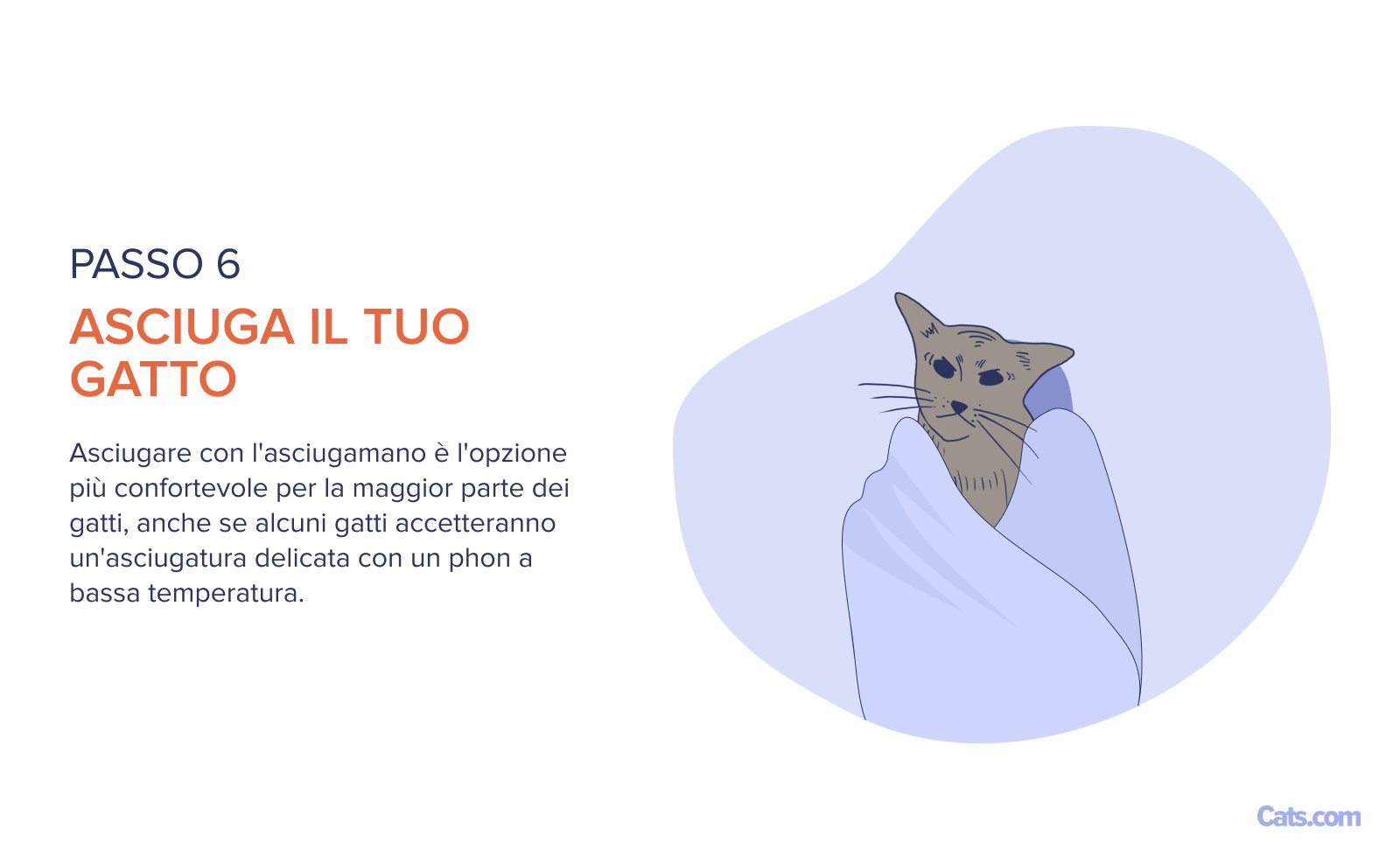 Fase 6: Processo di essiccazione
