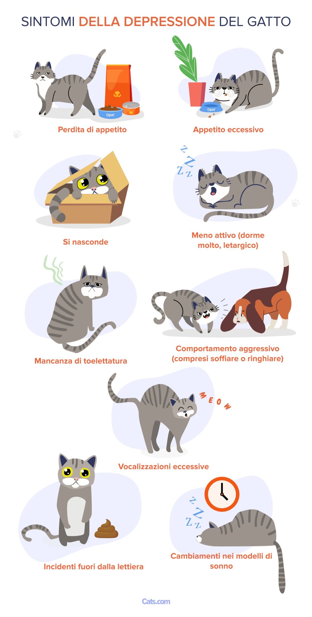 Segnali di depressione nei gatti