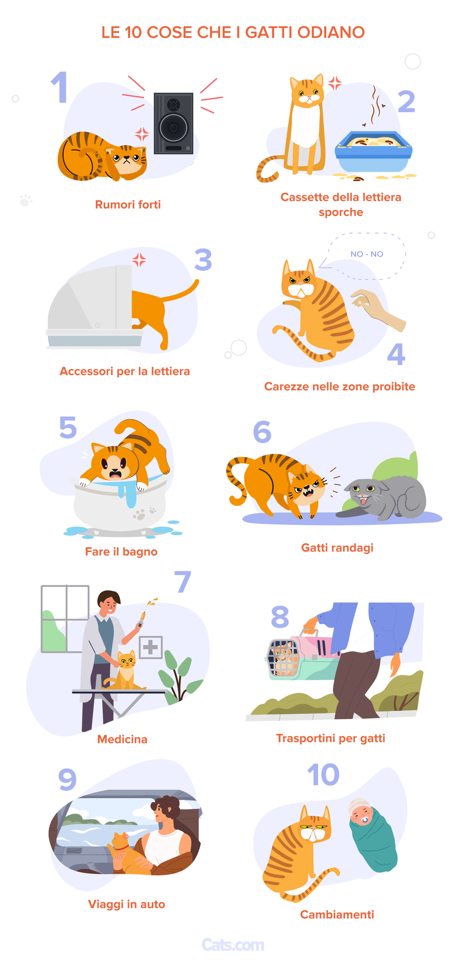 Infografica: Le 10 Cose che i Gatti Odiano di Più
