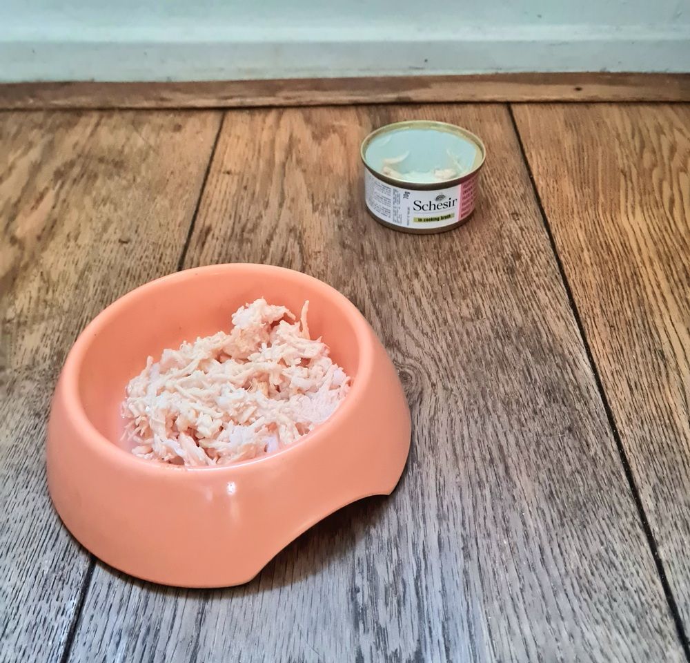 Filetti di pollo Schesir in gelatina