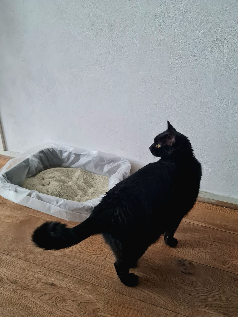 Lettiera per gatti agglomerante in argilla naturale Greenwoods