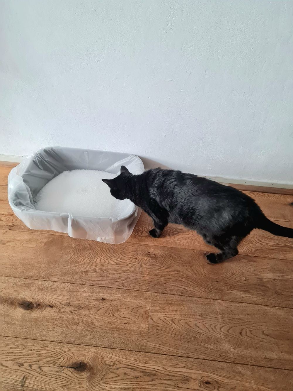 Lettiera per gatti al silicato Nullodor