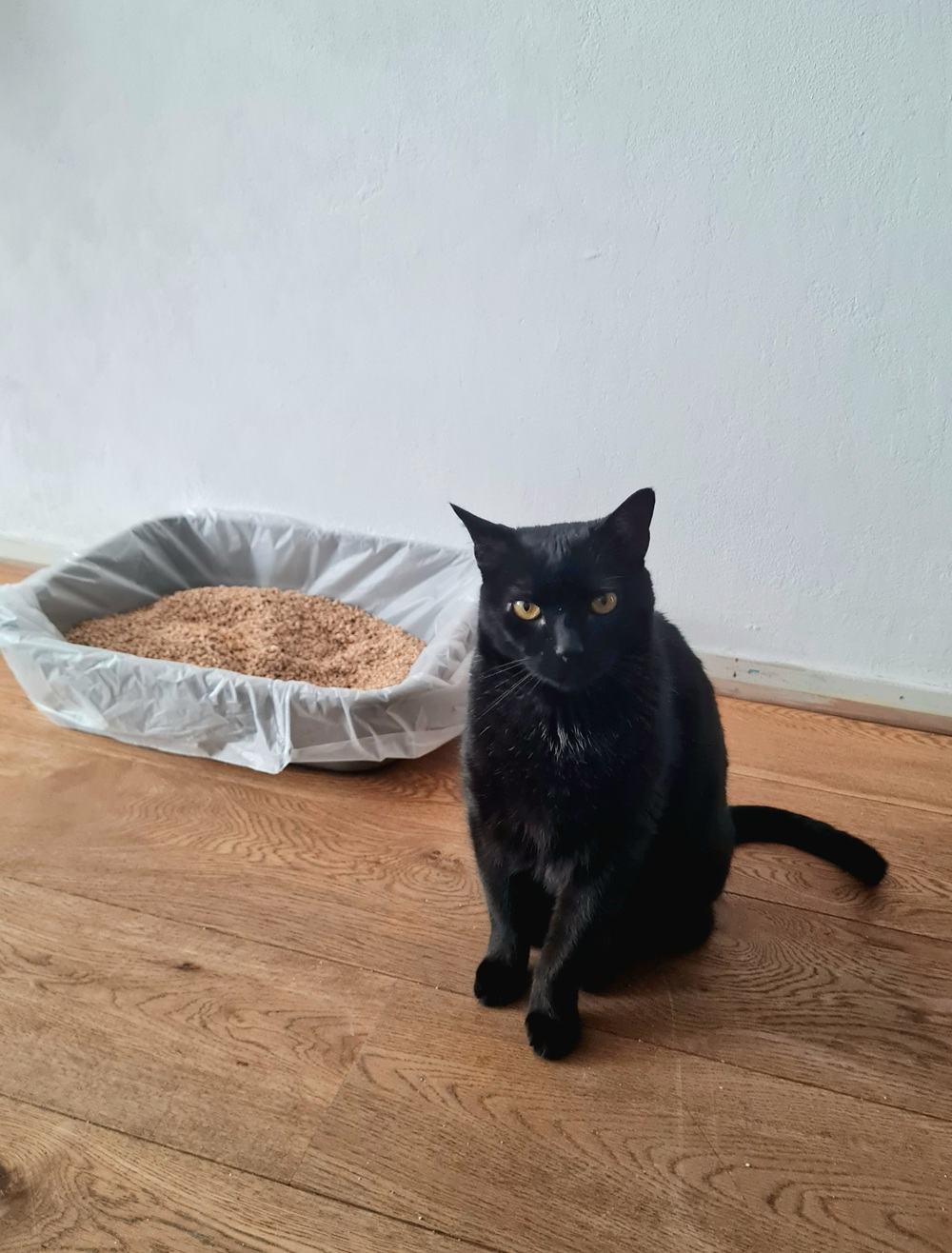 Lettiera per gatti originale Cat's Best