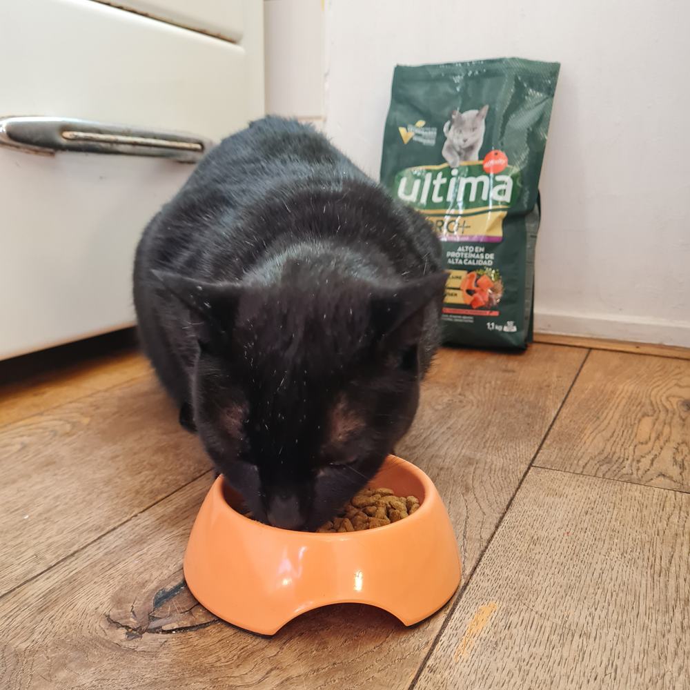 Ultima Cat PRO+ Sterilized Salmon