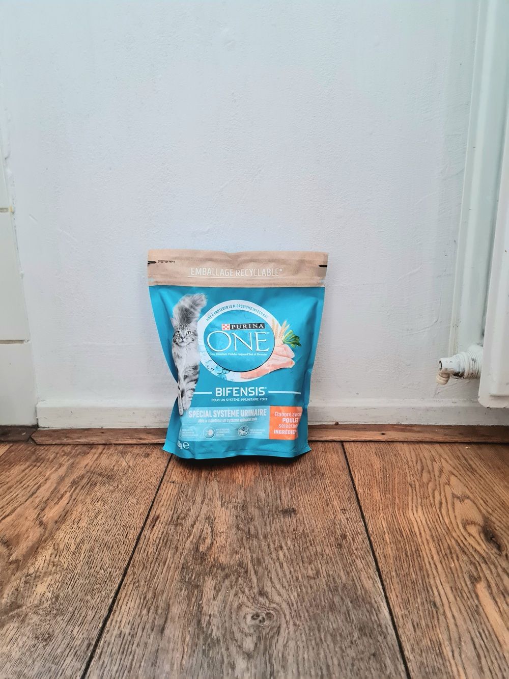Purina ONE Urinary Care con Pollo
