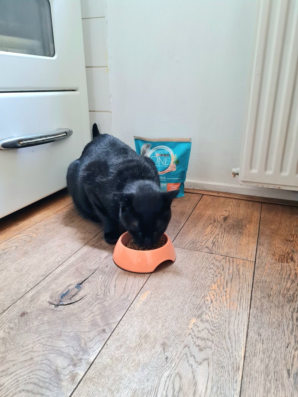 Purina ONE Urinary Care con Pollo