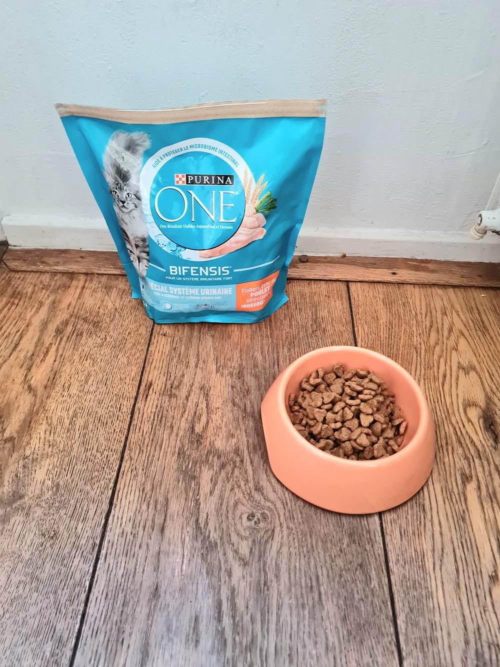 Purina ONE Urinary Care con Pollo