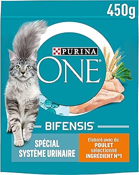 Purina ONE Urinary Care con Pollo