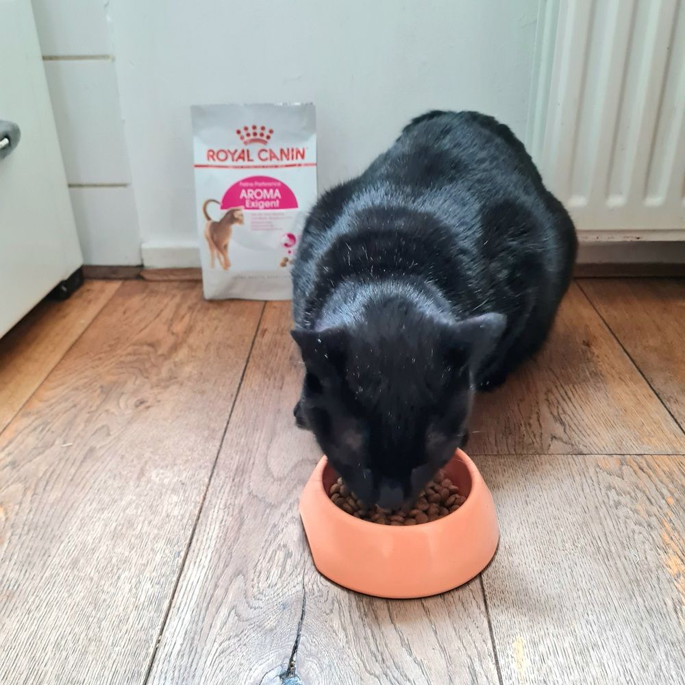 Royal Canin Aroma Exigent