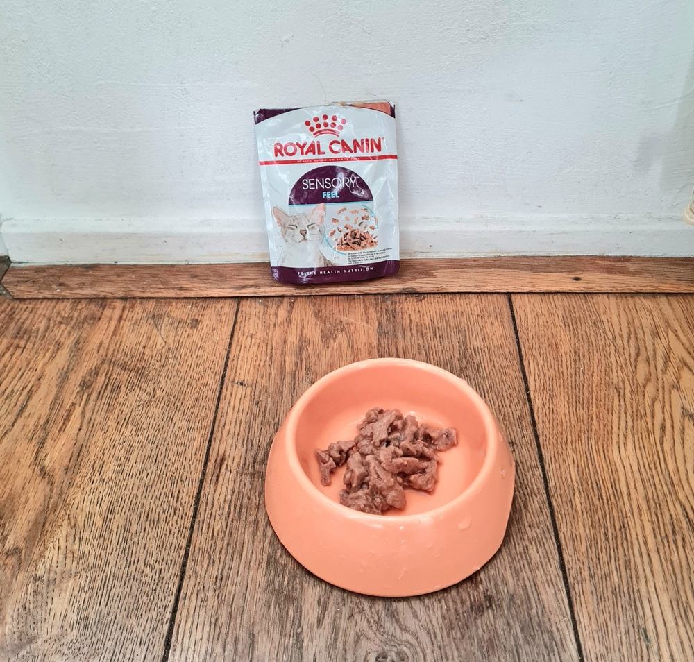 Royal Canin Sensory Smell Taste Feel in Sauce